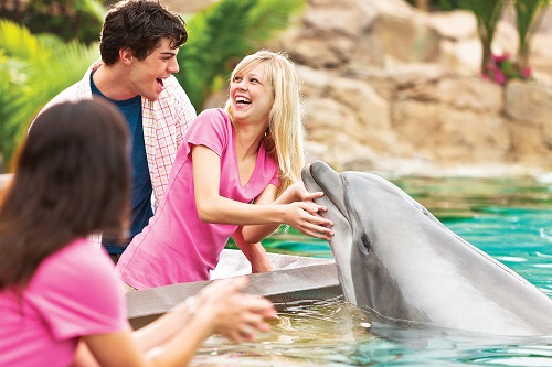 SeaWorld, Aquatica ou Busch Gardens Ingresso para 02 Parques